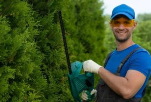 Tree Trimming Service Focused on Safety and Precision