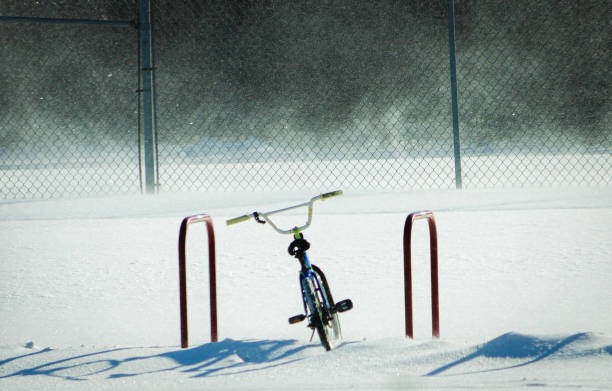 Unlock How One Stop Ski Cycle Makes Your Steamboat Springs Ski Trip Effortless
