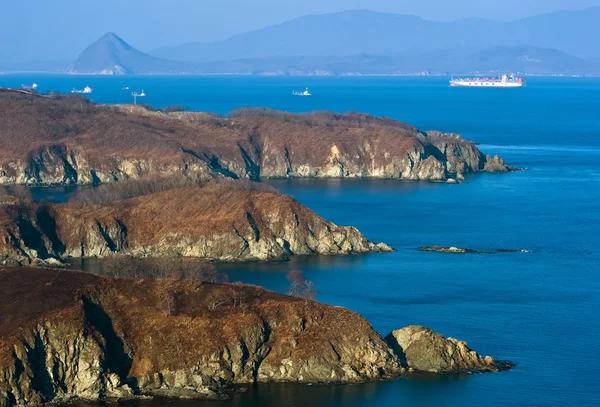 How to Choose the Right Trucking Company in Dallas