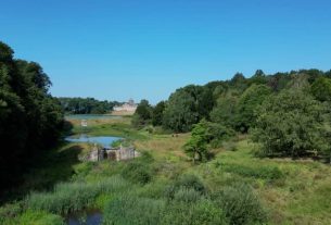 Landscaping Support for Yard and Property Improvements in Allen