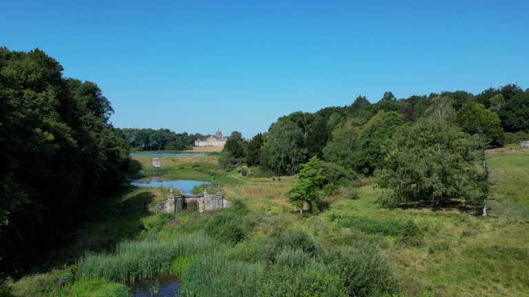 Landscaping Support for Yard and Property Improvements in Allen