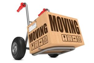 Three Brothers Movers, LLC Professional Movers for Stress-Free Relocation
