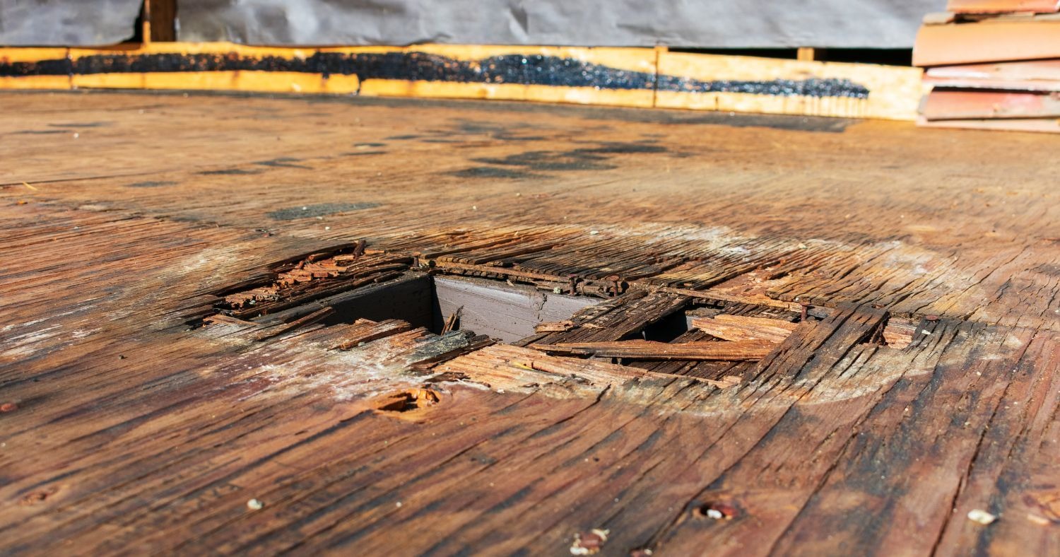 Water Damage Repair in Oregon City After Flooding and Storm Damage