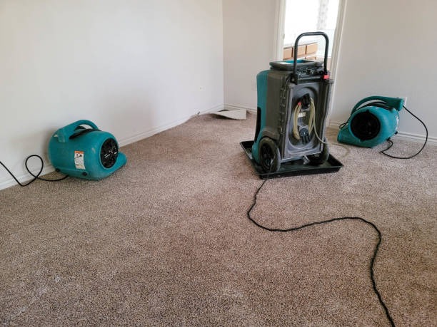 Professional Furnace Repair Forest City Solutions for Fast Heating Restoration