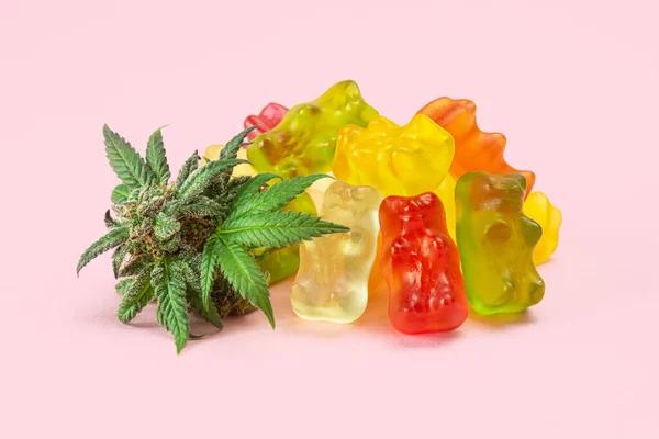 Shop the Best Edibles at Competitive Prices
